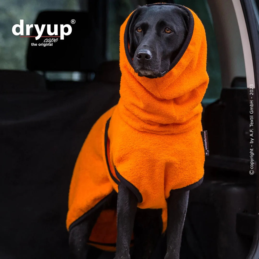Schwarzer Hund im orangefarbenen Dryup® Cape Bademantel sitzt im Auto und schaut konzentriert nach vorne.