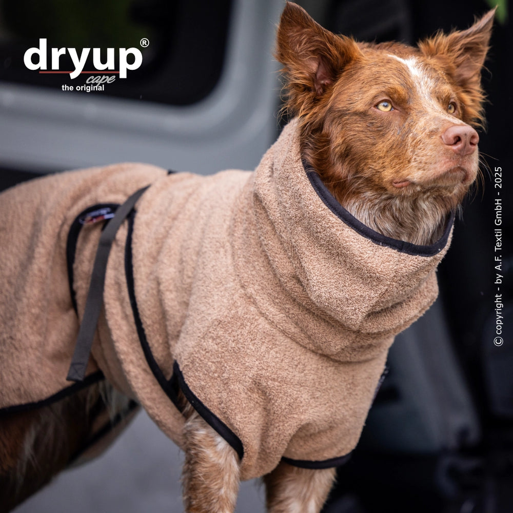 Hund in beige-meliertem Bade-Mantel mit Kragen, sicher am Bauch, auf einer schönen Wiese. Ideal für nasse Hunde.