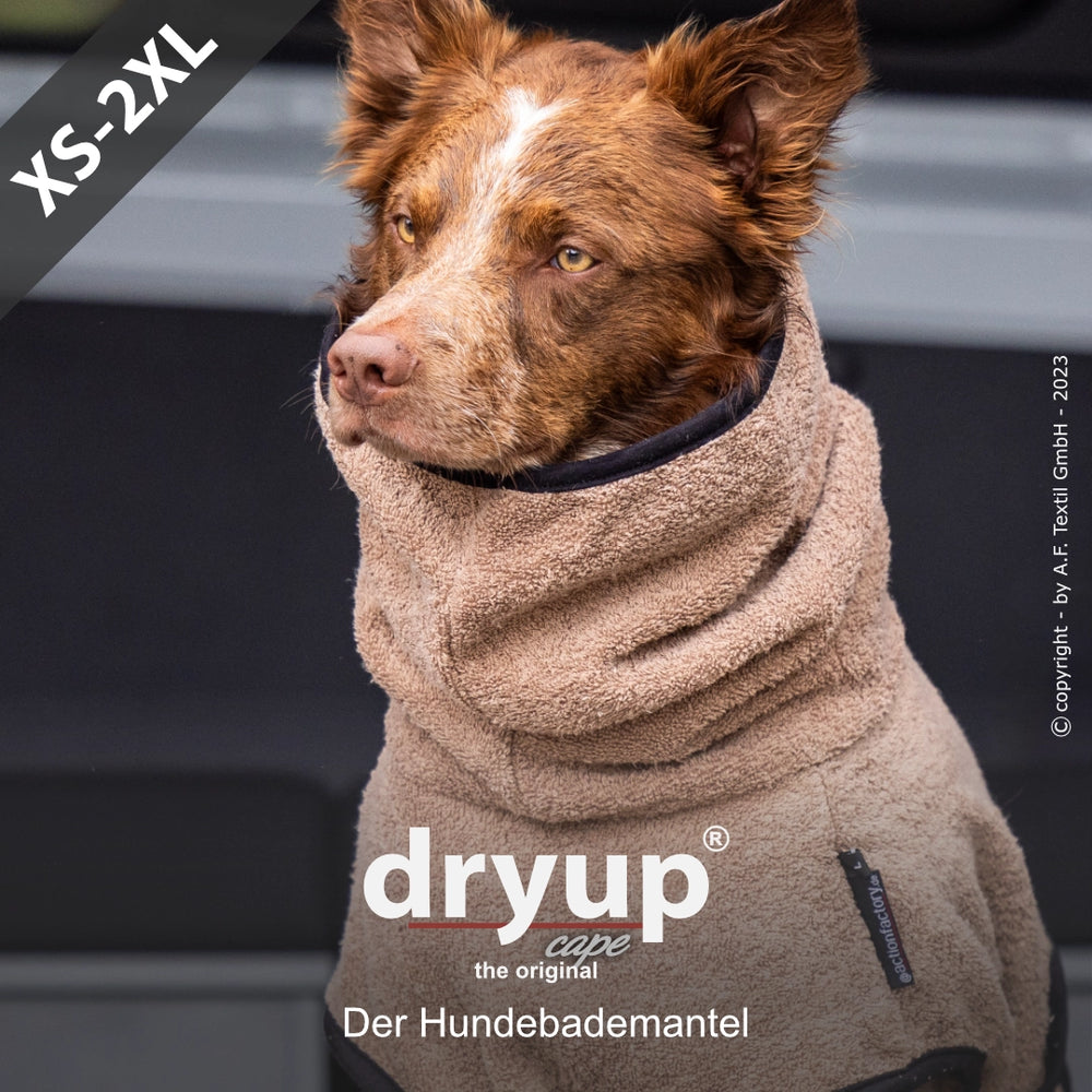 Hund im hellbraunen Dryup® Hundebademantel aus weichem, saugfähigem Material mit hohem Kragen. Logo sichtbar.