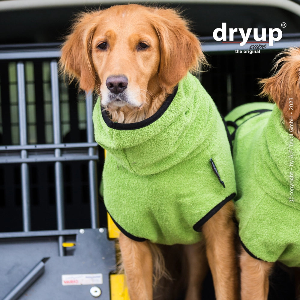 Zwei Hunde im grünen, gepolsterten Hundebademantel mit Kapuze in einem Fahrzeug. Ideal für nasse Fellpflege.