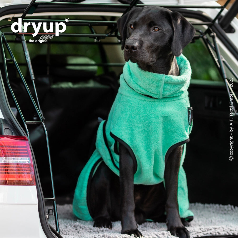 Schwarzer Labrador im Auto, trägt den Dryup® Hundebademantel in Grün, Kofferraum mit grauer Decke im Hintergrund.