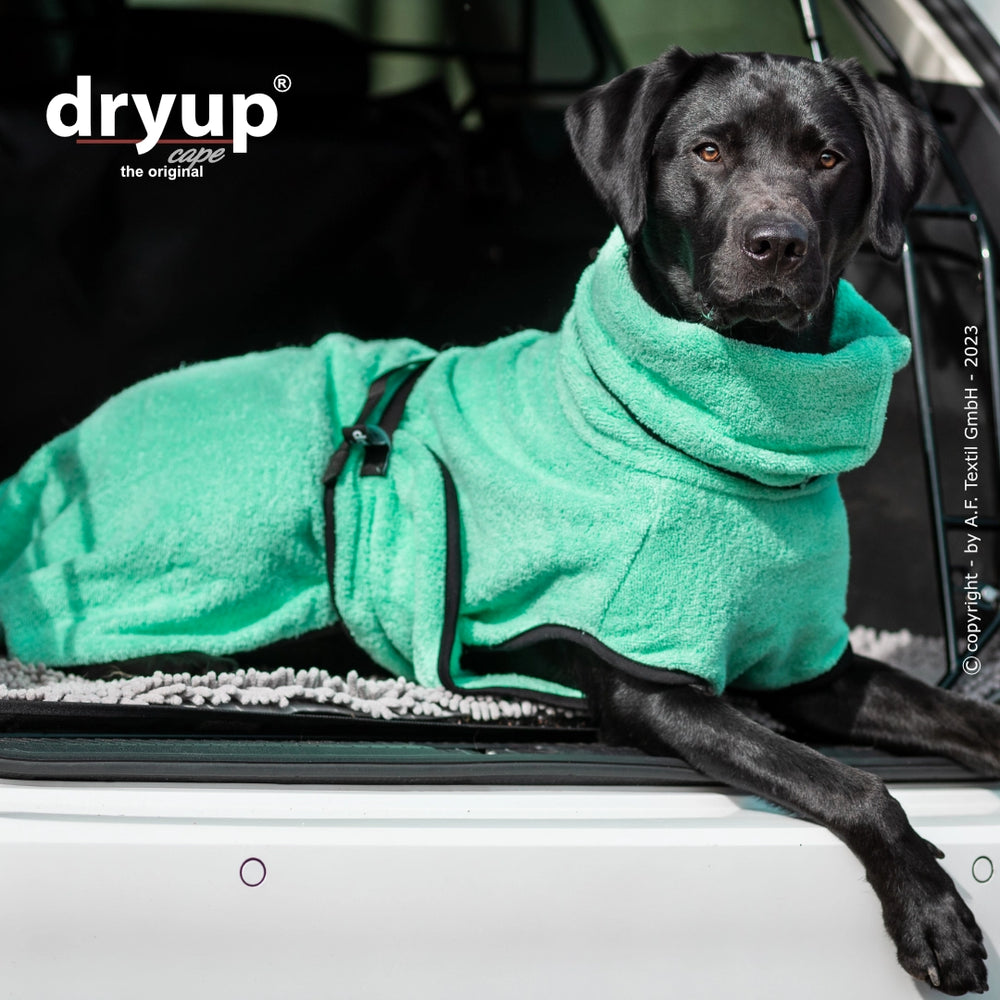Schwarzer Hund im mintgrünen flauschigen Hundebademantel, entspannt im Kofferraum eines Autos.