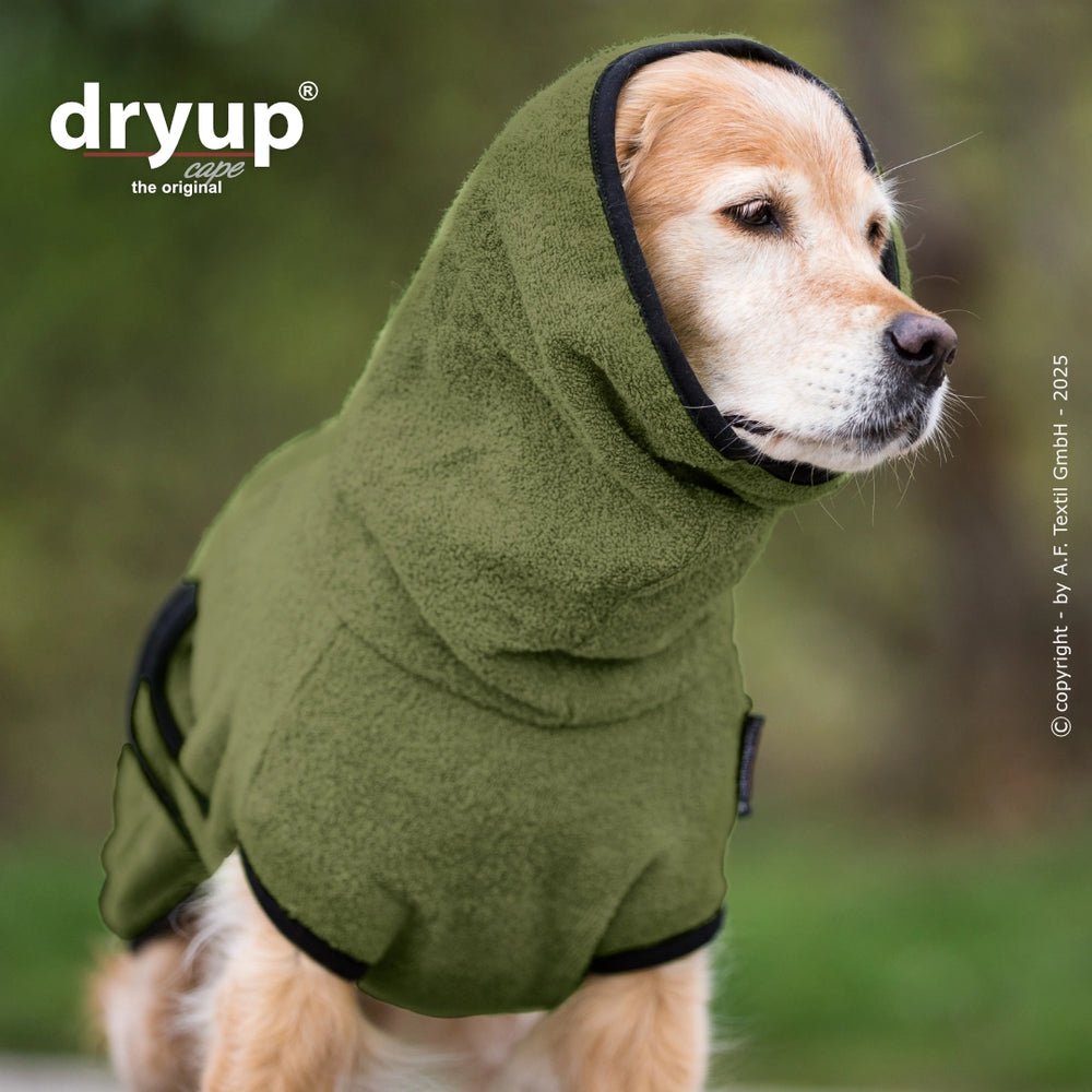 Hund im olivgrünen Dryup® Bademantel mit Kapuze, ideal zum Trocknen nach dem Baden.