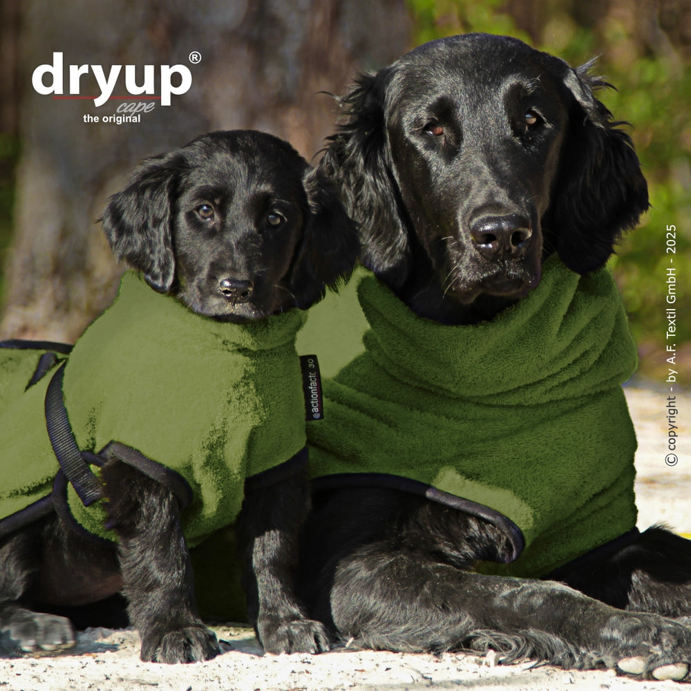 Zwei Hunde in flauschigen grünen Dryup® Hundebademänteln, schauen in die Kamera, Natur im Hintergrund.