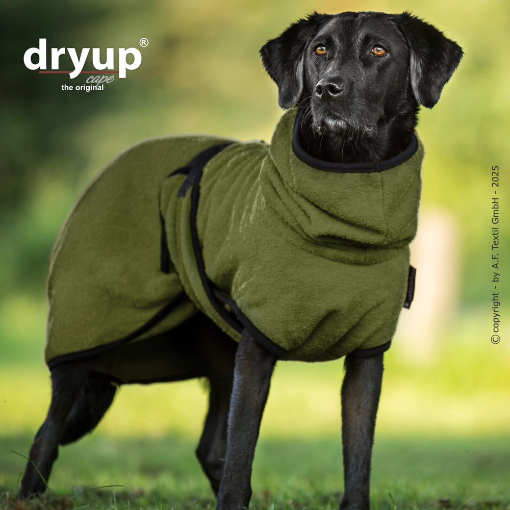 Schwarzer Hund im olivgrünen Dryup® Hundebademantel, umgeben von unscharfen Naturdetails.