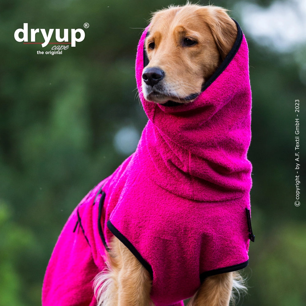 Hund im pinken, weichen Bademantel mit Kapuze, ideal zum Trocknen nach dem Baden in natürlicher Umgebung.