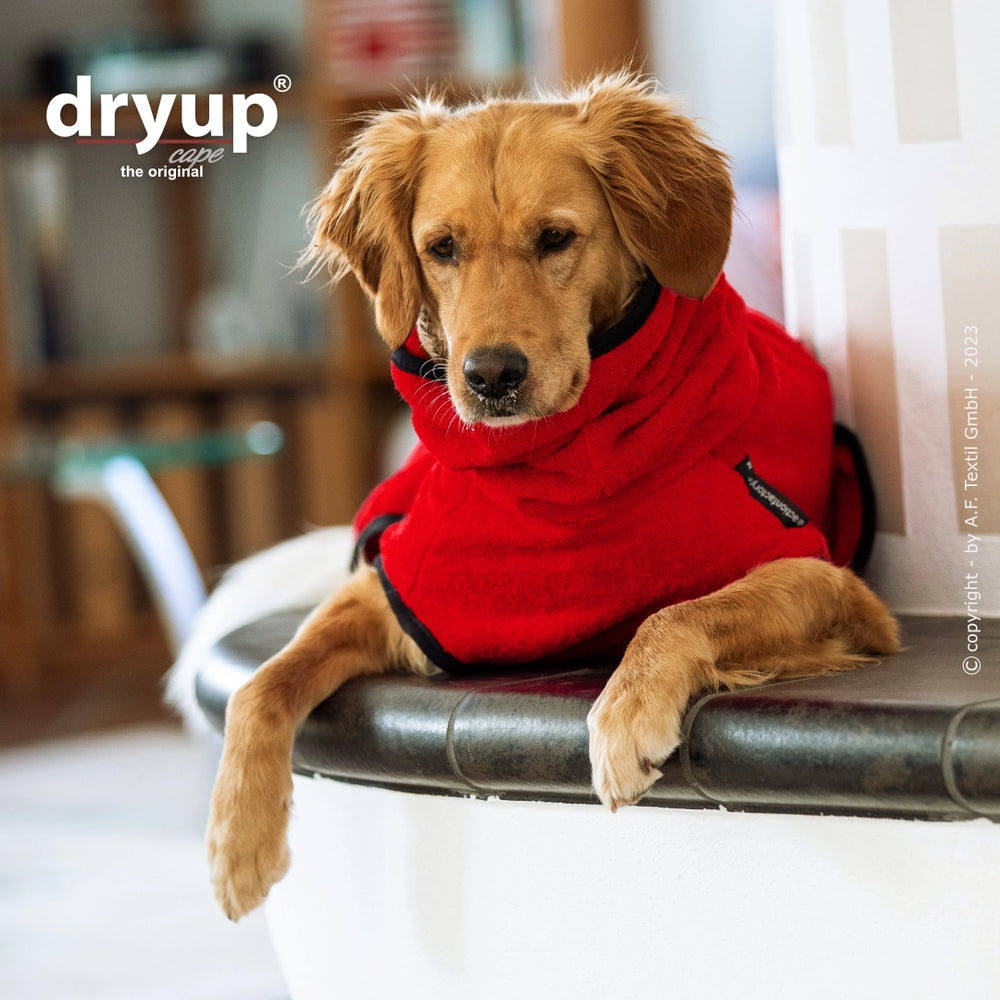 Hund im roten Kapuzenpullover sitzt entspannt auf einer Bank, Hintergrund unscharf. Der originale Dryup® Hundebademantel.