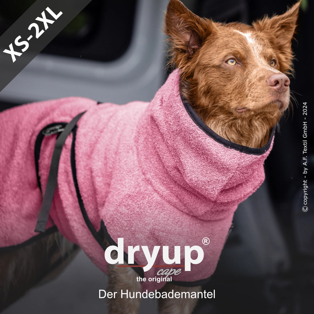 Hund im rosa Dryup® Hundebademantel mit Kapuze, flauschig und stylish, perfekt zum Trocknen nach dem Baden.