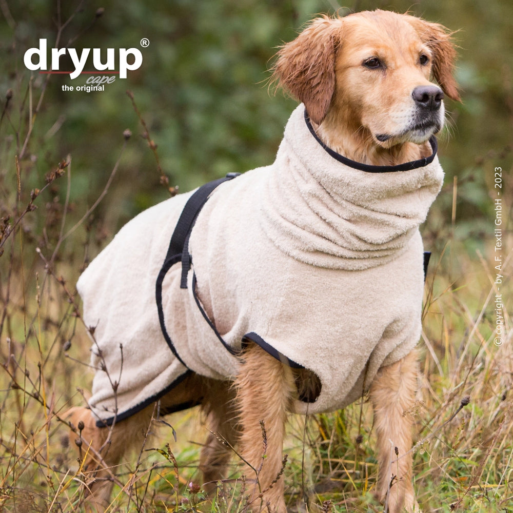 Hund trägt beigen Dryup® Hundebademantel im Freien, umgeben von hohem Gras, perfekt für nach dem Baden.