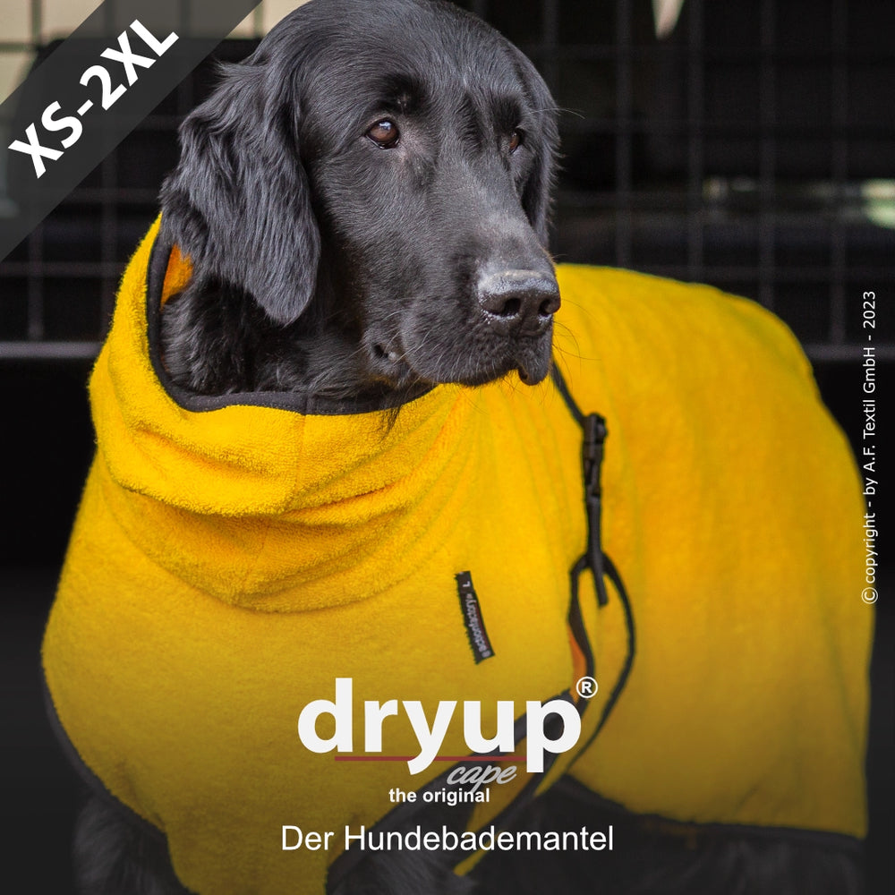 Schwarzer Hund im leuchtend gelben Dryup® Hundebademantel mit Kapuze auf dunklem Hintergrund.