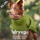 Brauner Hund im Freien trägt einen grünen Bademantel aus Bambusfaser von dryup® cape bamboo, umgeben von Natur.