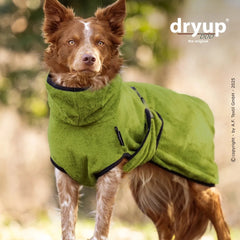 Hund im grünen dryup® Bademantel aus Bambusfaser auf der Wiese, schützt vor Kälte und bietet Komfort.