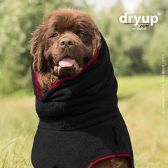 Hund im schwarzen Bademantel mit rotem Innenfutter, sitzt freundlich draußen vor grüner Kulisse.