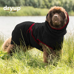 Hund in einem dunklen, handschuhartigen Bademantel mit Kapuze und roten Akzenten in natürlicher Umgebung.