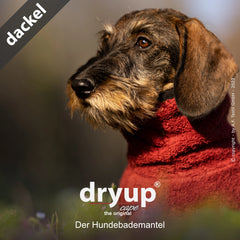 Dackel im roten Hundebademantel von dryup® in natürlicher Umgebung, ideal zum Trocknen nach dem Baden.