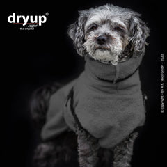 Dryup® cape mini - Der original Hundebademantel