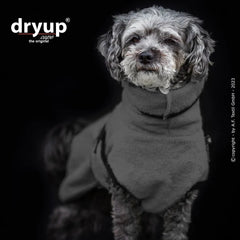 Kleiner Hund mit lockigem, grauem Fell trägt einen grauen flauschigen Bademantel von Dryup® im schwarzen Hintergrund.