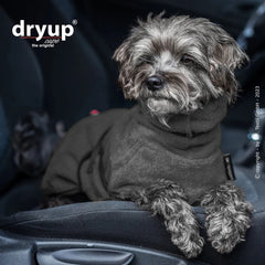 Hund im Auto mit kuscheligem Dryup® Hundebademantel, aufmerksam und stilvoll mit lockigem, grauem Fell.