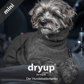 Kleiner Hund im dunklen Dryup® Cape, freundlich blickend in die Kamera, unscharfer Innenraum im Hintergrund.