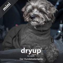 Kleiner Hund im dunklen Dryup® Cape, freundlich blickend in die Kamera, unscharfer Innenraum im Hintergrund.