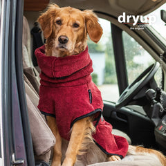 Hund im roten Mikrofaser-Bademantel sitzt gemütlich auf dem Fahrersitz, goldenes Fell und verschwommener Außenbereich im Hintergrund.