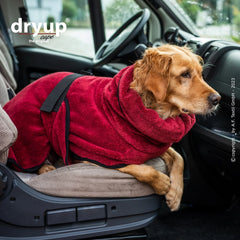 Hund im Fahrzeug mit rotem Mikrofaser-Bademantel von dryup® cape royal, entspannt auf dem Vordersitz.