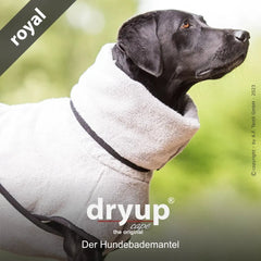 Hund im grauen Dryup® Bademaantel mit hohem Kragen, perfekt zum Trocknen nach dem Baden oder Spaziergang.