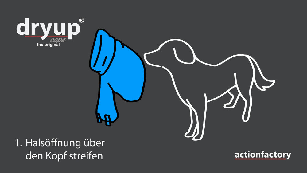 Hund im blauen dryup® Cape Nano Hundebademantel mit Anleitung zur Anwendung.