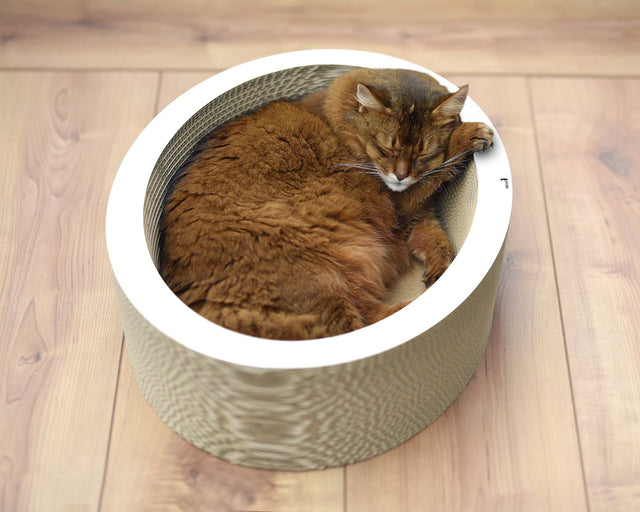 LOVALE Katzenschale