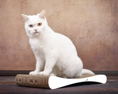 weiß, gestrichen (000x) - Bild 2