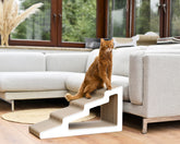 weiß mit Rand (000) - Bild 1