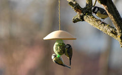 Futterdach für Meisenknödel: Mehrere Meisen fressen an einem Futterspender, der an einem Baum hängt.