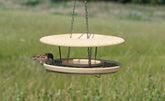 Hängendes Futterhaus CeraNatur im Grünen, kleiner Vogel pickt an Samen. Ideal für Vogelbeobachtung und Artenvielfalt.
