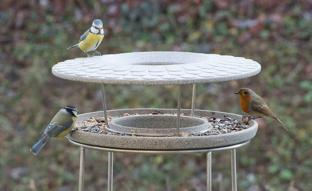"Blaumeise und Rotkehlchen am Futterhaus Granicium mit Ständer, genießen frisches Vogelfutter."