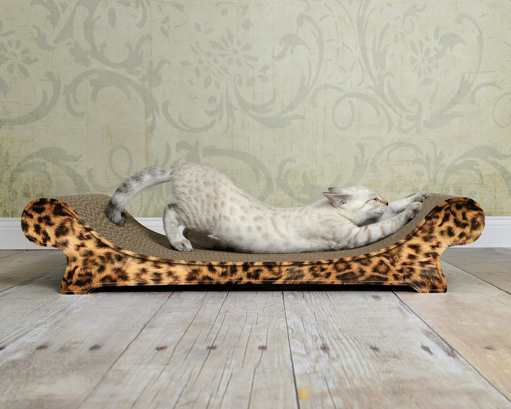 leo (051) - Bild 3