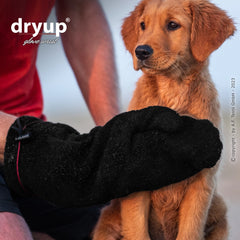 Hundewelpe schaut neugierig zu, während Person einen schwarzen Trocknungshandschuh anlegt.