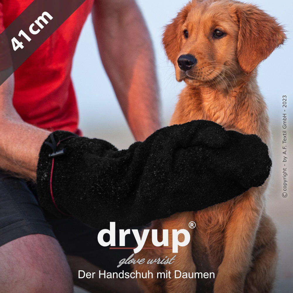 Handwerker mit schwarzem dryup® Handschuh betrachtet kleinen Hund, Länge 41 cm, unscharfer Hintergrund.