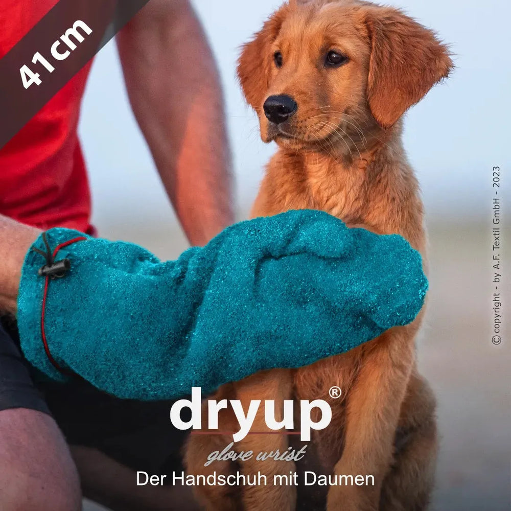 "Ein Hund neugierig an einem blauen, gefütterten Handschuh mit Daumen schnüffelt, der von einer Person getragen wird."