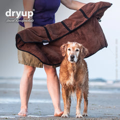 Eine Person mit lila Oberteil hält ein braunes dryup Handtuch, während ein nasser Golden Retriever vor ihr steht.