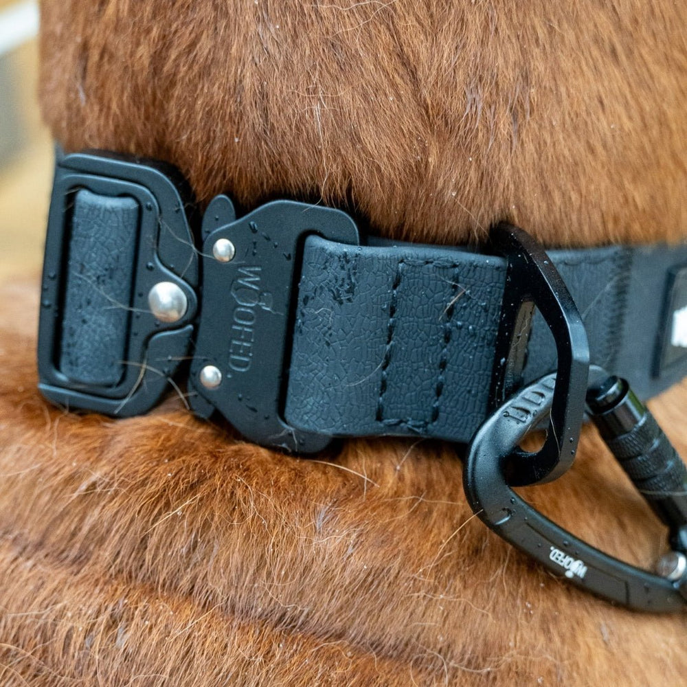 Verstellbares WOOFLEX® Tactical Hundehalsband in Schwarz, auf braunem Fell mit Schnalle und Karabinerhaken sichtbar.