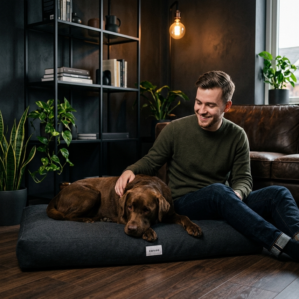 Mann sitzt auf dunklem Hundebett und streichelt braunen Hund in modernem Raum mit Pflanzen und Couch.