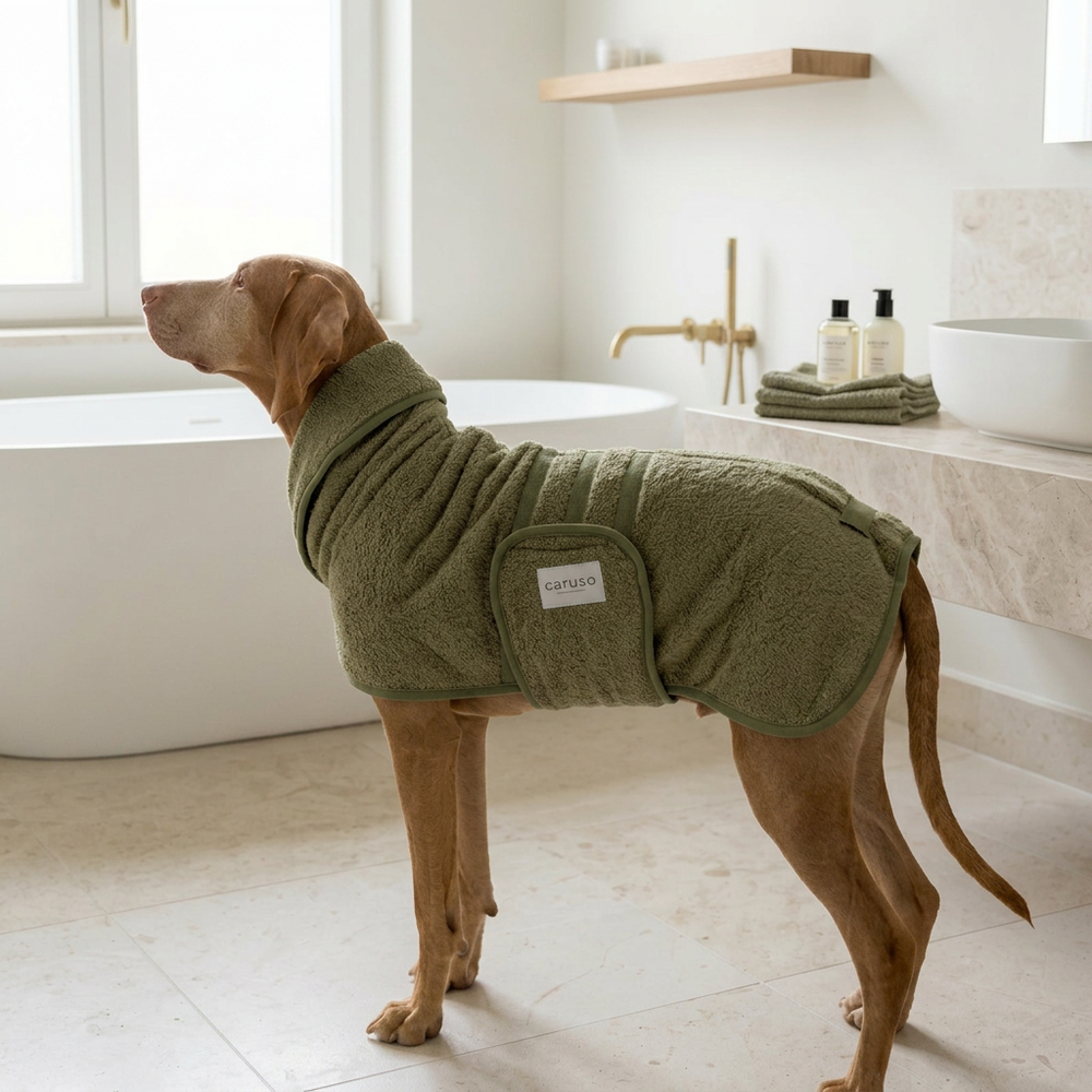 Hund im grünen, flauschigen Bademantel steht neben einer Badewanne im hellen Badezimmer mit Handtüchern im Hintergrund.