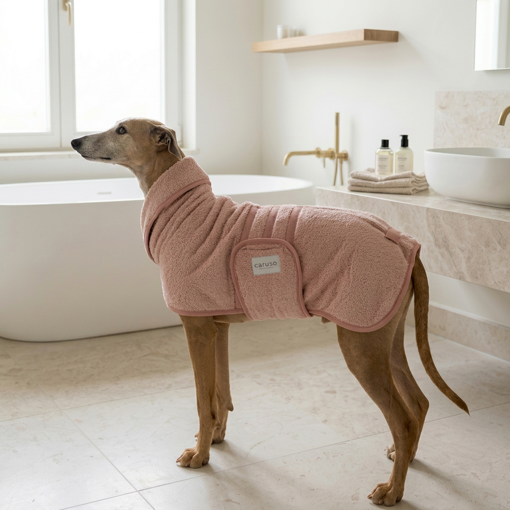 Grau gefärbter Windhund trägt rosa Fleece-Hundebademantel in modernem Badezimmer mit freistehender Badewanne.