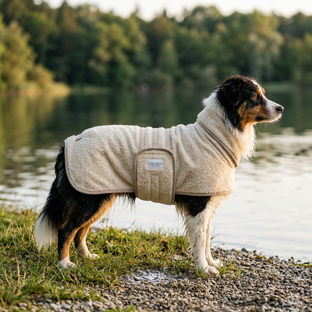 "Ein Hund im beige Hundebademantel am Ufer, umgeben von Bäumen und Naturreflexionen im Wasser."