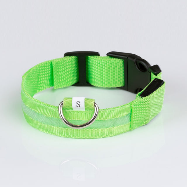 LED Leuchthalsband