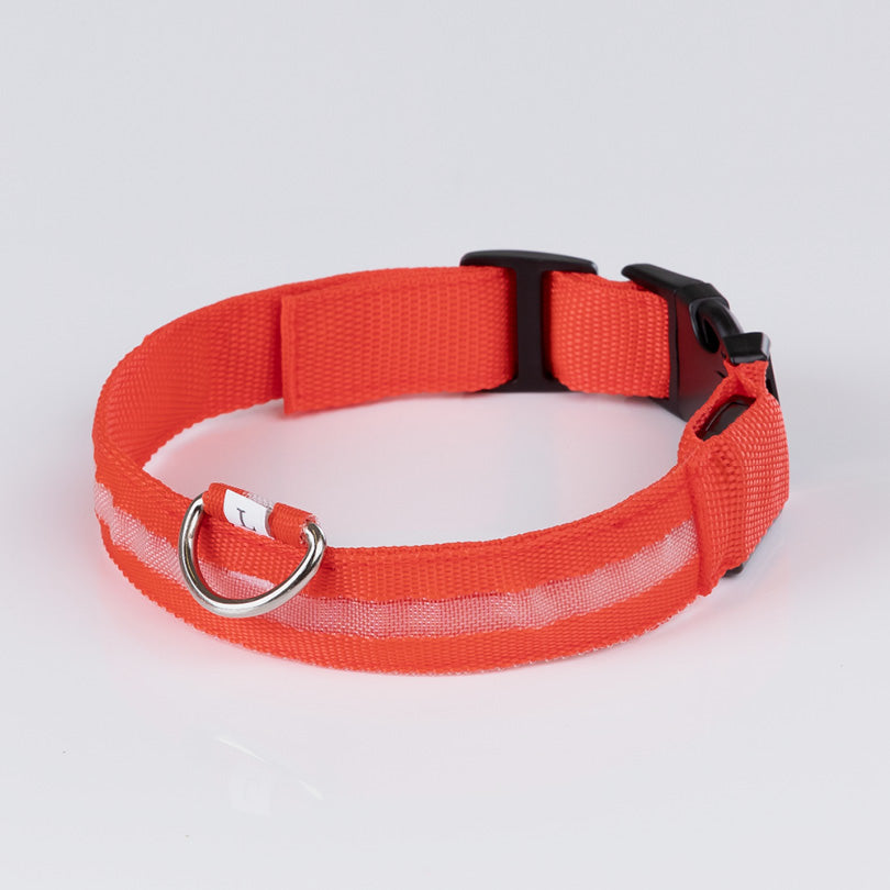 Rotes Doctor Bark Leuthalsband aus strapazierfähigem Material mit verstellbarem Verschluss und drehbarem D-Ring.
