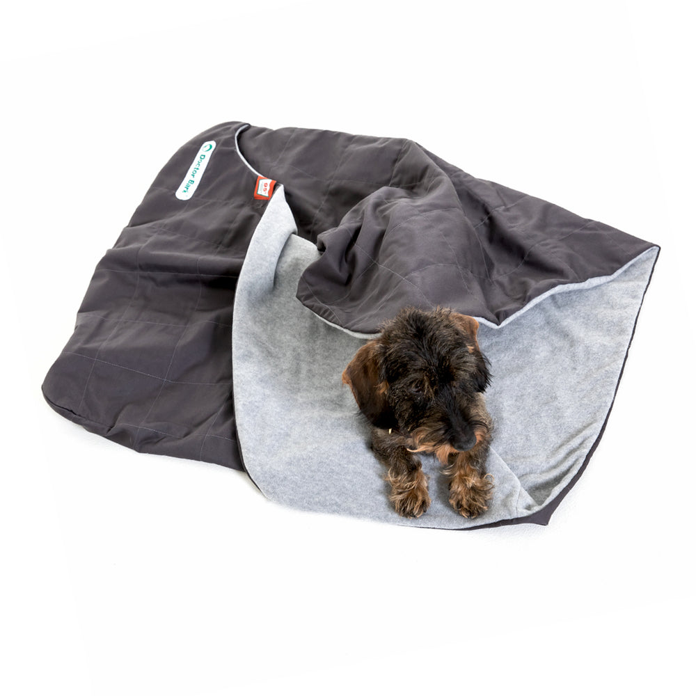 Schwarze, gefütterte Decke mit grauem Innenfutter, ideal für Hunde, während ein kleiner Hund entspannt darauf sitzt.