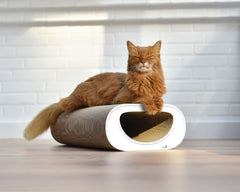 weiß, gestrichen (000x) - Bild 1