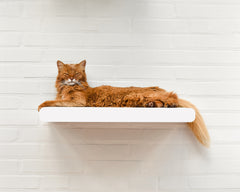 weiß, gestrichen (000x) - Bild 2