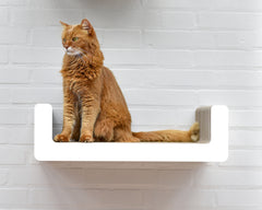 weiß, gestrichen (000x) - Bild 1